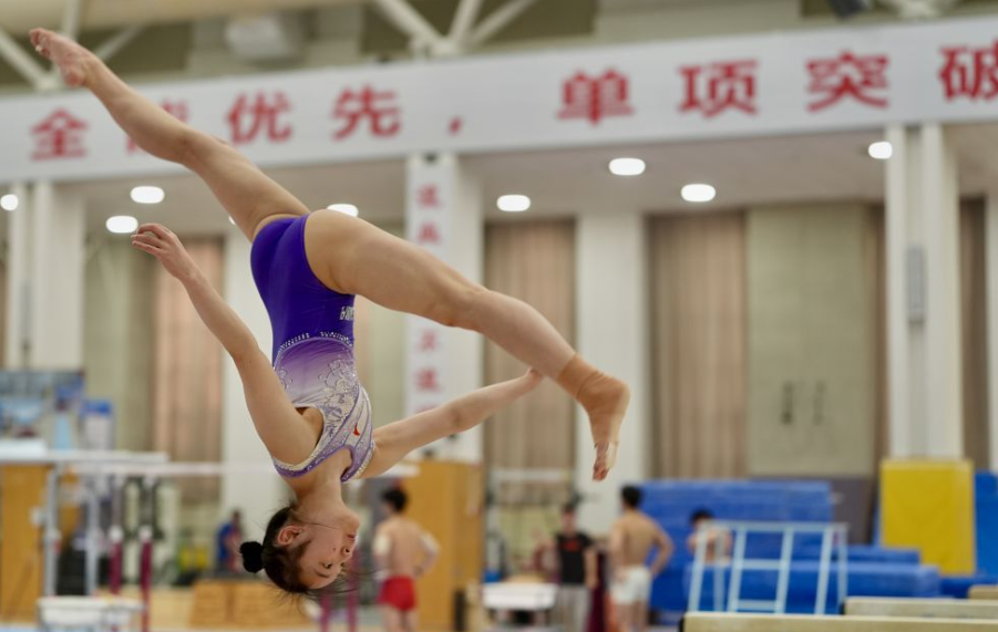 了解百家乐破解的基本概念与原理